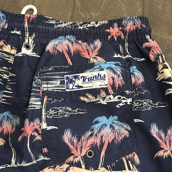Men’s Trunks Swim Shorts - Picture 3 of 4